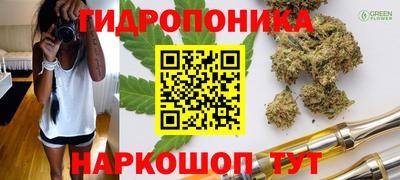 кокс Обь
