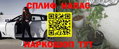 кокс Обь