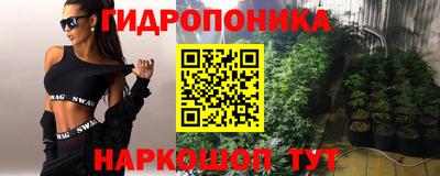 гидра Обнинск
