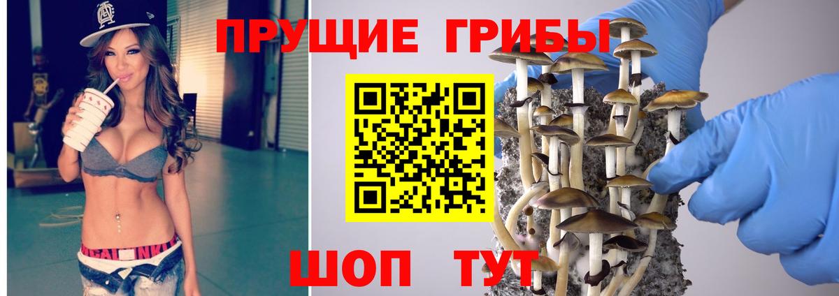 Рославль  Псилоцибиновые грибы GOLDEN TEACHER  Вход с VPN 