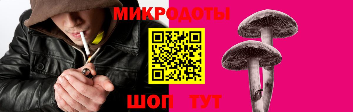 Псилоцибиновые грибы MAGIC MUSHROOMS Рославль
